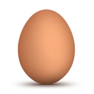 imitacion huevo gallina